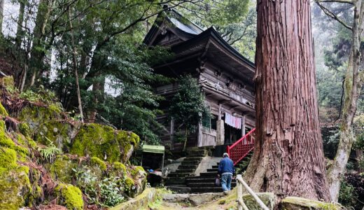 下のソーシャルリンクからフォロー