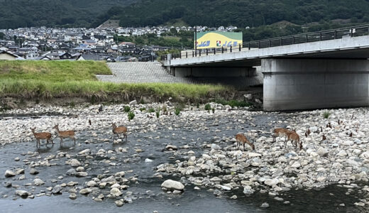 下のソーシャルリンクからフォロー