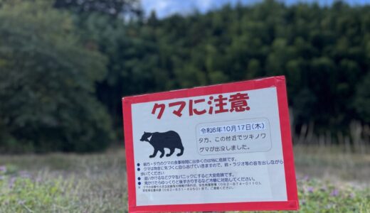【クマ出没情報】10/27(月)、安佐南区沼田町阿戸でクマの痕跡が確認。自宅裏の柿の木が折られ、クマのウンチが落ちていたみたい。