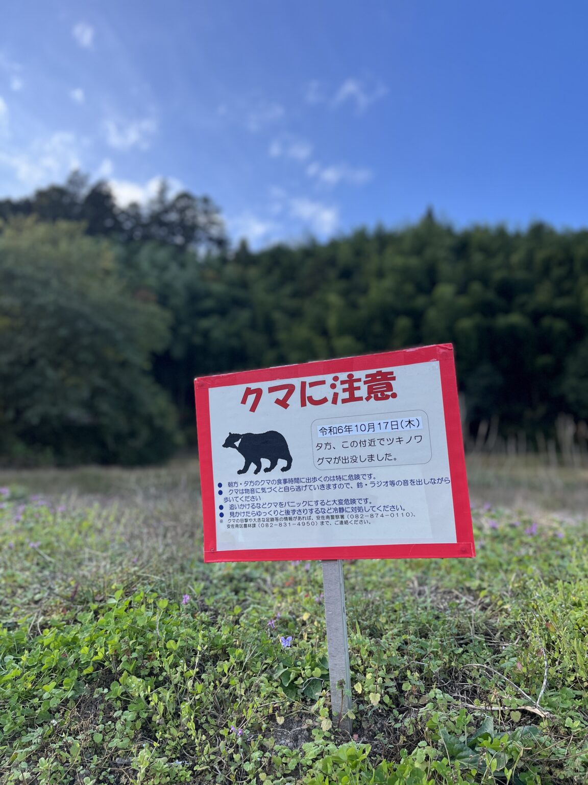 クマ速報】10/29(水)、安佐南区沼田町阿戸でクマが捕獲され、殺処分に