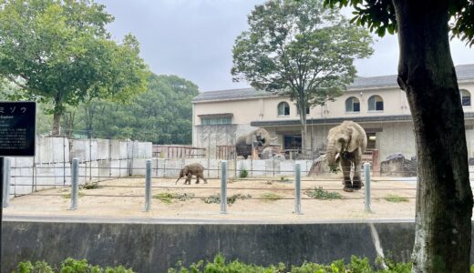 下のソーシャルリンクからフォロー