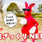 【閉店・移転情報】安佐北区口田南のごはんに合うラーメンがおいしい店｢麺屋七竈｣(ななかまど)が3/1(日)で営業終了。中区中町に移転するみたい。