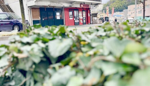 【続・開店速報】3月下旬、安佐南区の｢あさ菜ゆう菜｣があった場所に｢串揚げ居酒屋 いしおか｣がオープン。西区観音の｢串焼き居酒屋 華笑｣の2号店みたい。