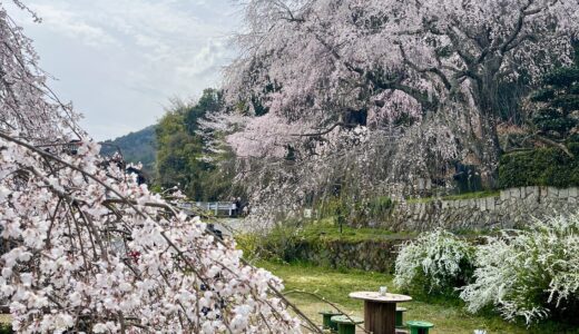 下のソーシャルリンクからフォロー