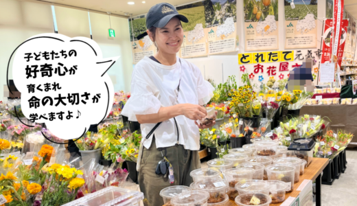 【カブトとクワガタが好き】安佐南区大町東の｢とれたて元気市｣で人気のクワカブ販売、8/9・15・16はお休み。今期最後の販売は8/22㊏・23㊐に決定!
