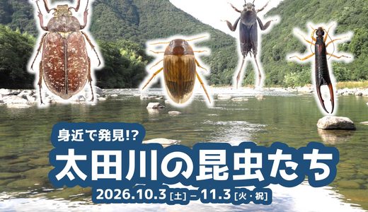 下のソーシャルリンクからフォロー