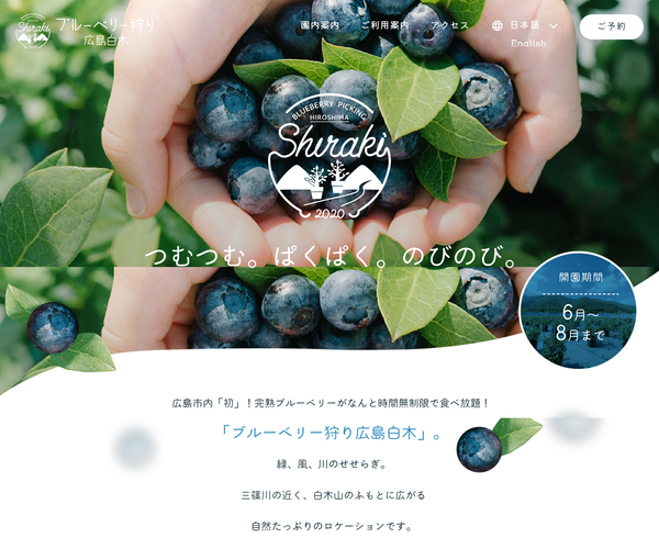 20220605-blueberry-hiroshima (17)